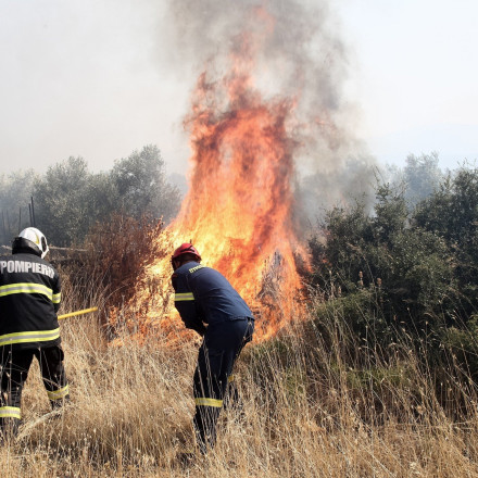 Πρώην αντιδήμαρχος θα δικαστεί ως εμπρηστής για τις μεγάλες φωτιές στα Βίλια