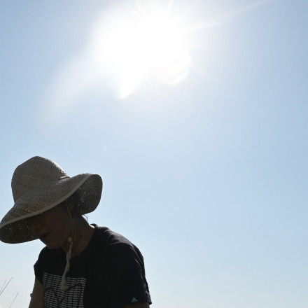 Πόσο ζεστοί μήνες θα είναι ο Ιούλιος και ο Αύγουστος - Τι δείχνουν τα τελευταία στοιχεία