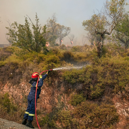 Πολύ υψηλός κίνδυνος για φωτιά σήμερα Παρασκευή (28/6) - Οι περιοχές που είναι στο «κόκκινο»