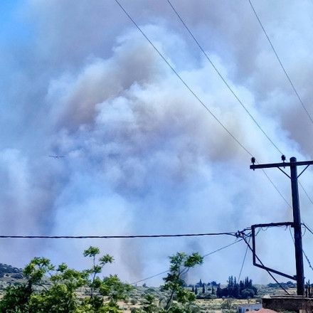 Φωτιά στην περιοχή Δάρδιζα, στην Αργολίδα - Εστάλη μήνυμα 112