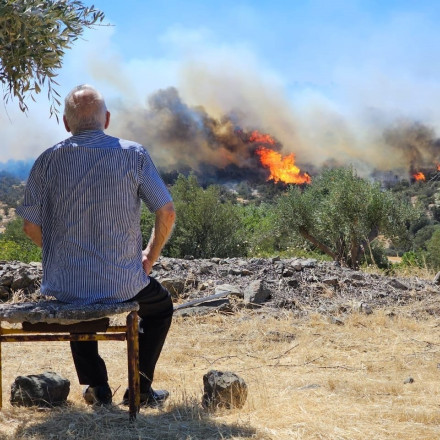 Πύρινα μέτωπα σε όλη την Ελλάδα - «Κάθε 10 λεπτά ξεσπά και μια νέα πυρκαγιά»