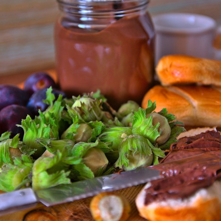 Έρευνα: Ο απολαυστικός ξηρός καρπός που δυναμώνει το σπέρμα και θωρακίζει την καρδιά