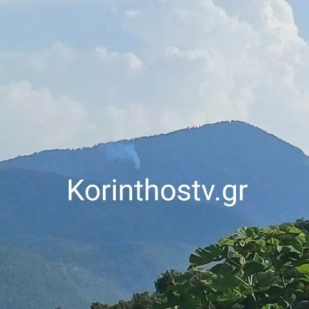Υπό έλεγχο τέθηκε η φωτιά στη Λαύκα Κορινθίας - Προκλήθηκε από κεραυνό