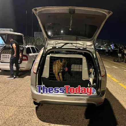 Συναγερμός στο Europride: Πήραν τηλέφωνο στο… 112 για εκρηκτικό μηχανισμό