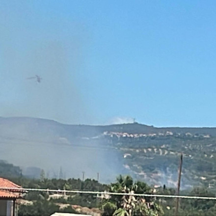 Φωτιά στο Πεταλίδι Μεσσηνίας: Στη «μάχη» και εναέρια μέσα
