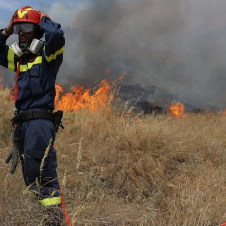 Λαγουβάρδος: Πόσα στρέμματα κάηκαν στην Αττική στα τέλη Ιουνίου