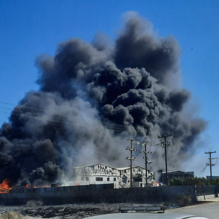 Φωτιά στη Ριτσώνα: Εκκενώθηκε η δομή φιλοξενίας - 377 άτομα μεταφέρθηκαν στη Μαλακάσα