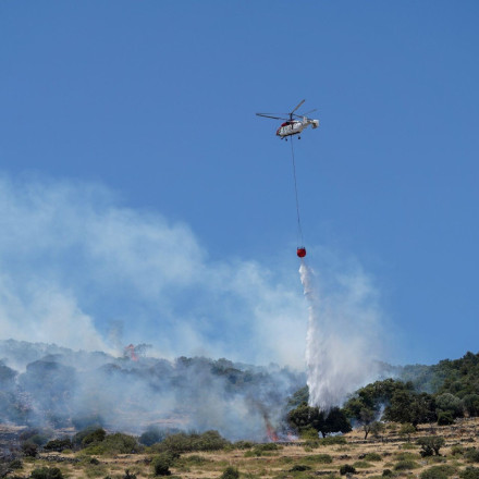 Μυτιλήνη: Συνελήφθη 28χρονος για την πυρκαγιά στο Μανταμάδο