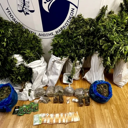 Άνω Λιόσια: Συνελήφθη 43χρονος που καλλιεργούσε σπίτι του 90 δενδρύλλια κάνναβης