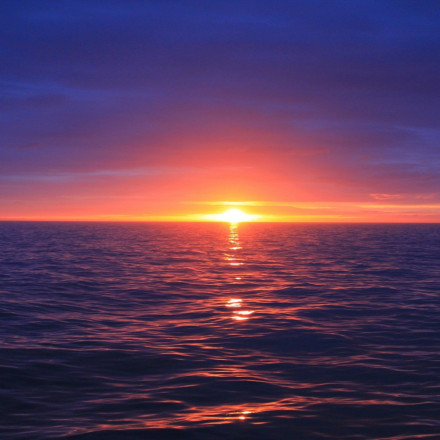 Greenpeace για κλιματική αλλαγή: «Όσοι ρυπαίνουν να πληρώσουν τον λογαριασμό»