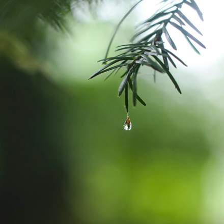 «Άνυδρος» ο Ιούνιος - Οι τρεις περιοχές που δεν έριξε ούτε σταγόνα βροχής