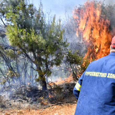 Υπό μερικό έλεγχο η φωτιά στην Τζιά - 24 πυρκαγιές ξέσπασαν το τελευταίο 24ωρο σε όλη τη χώρα