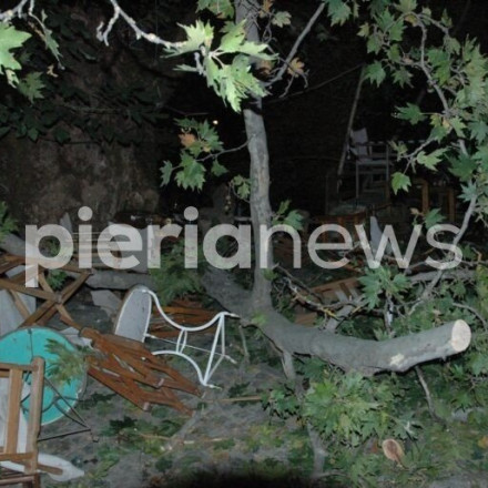 Τραγωδία στην Πιερία: Σκοτώθηκε 44χρονη από πτώση πλατάνου ενώ καθόταν σε καφέ