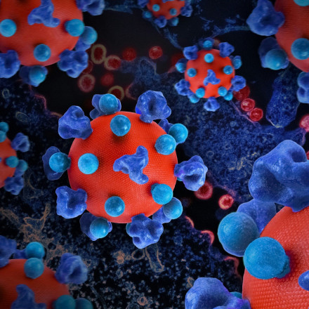 Η μεταμόσχευση «νικά» το AIDS; - Γερμανός, ο 7ος ασθενής που φαίνεται πως απαλλάχθηκε από τον HIV