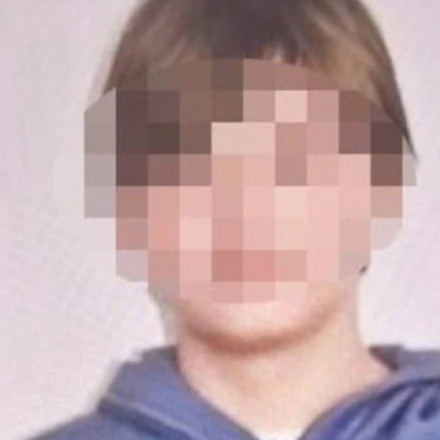 Βελιγράδι: Ποιος είναι ο 14χρονος που αιματοκύλησε δημοτικό σχολείο – Είχε λίστα με υποψήφια θύματα