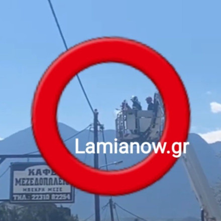 Viral: Απίθανη διάσωση γάτου από στύλο της ΔΕΗ [vid]