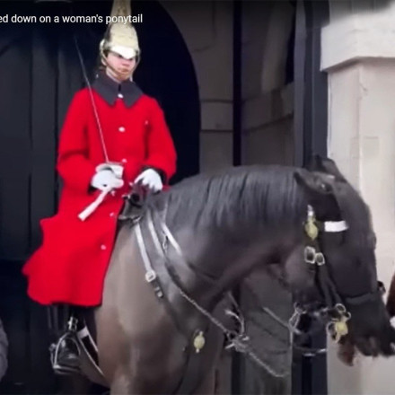 Μπάκιγχαμ: Άλογο της βασιλικής φρουράς «άρπαξε» τουρίστρια από την κοτσίδα