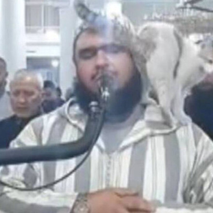 Viral: Γάτα πήδηξε πάνω σε ιμάμη την ώρα της προσευχής και έγινε viral [vid]