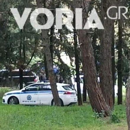 Νεκρή γυναίκα σε αυτοκίνητο: Ταυτοποιήθηκε ο γιος της ως δράστης [vid]