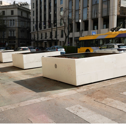 Δήμος Αθηναίων: Απομακρύνουν τους φοίνικες από την οδό Πανεπιστημίου - Τι αλλάζει στο σχέδιο για τον Μεγάλο Περίπατο