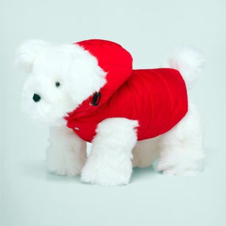 Prada: Λανσάρει αδιάβροχο μπουφάν για σκύλους - Δείτε πόσο κοστίζει