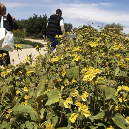 Πρωτομαγιά 2023 στο ΚΠΙΣΝ: Δωρεάν εκδηλώσεις και δράσεις για μικρούς και μεγάλους