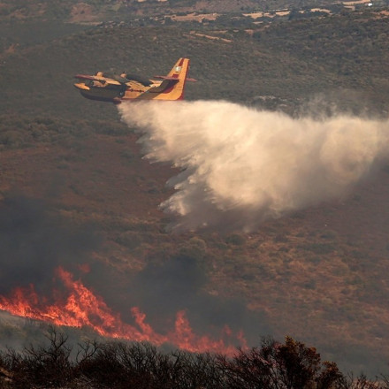 Δήμαρχος Κύμης για τη φωτιά στην Εύβοια: Έκκληση να τεθεί ο δήμος σε κατάσταση έκτακτης ανάγκης