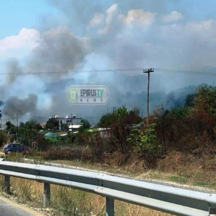Φωτιά στο Σταυράκι Ιωαννίνων, επιχειρούν ισχυρές δυνάμεις