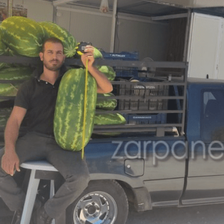 Καρπούζι-γίγας «γέννησε» η γη της Κρήτης - Ζυγίζει σχεδόν 30 κιλά!