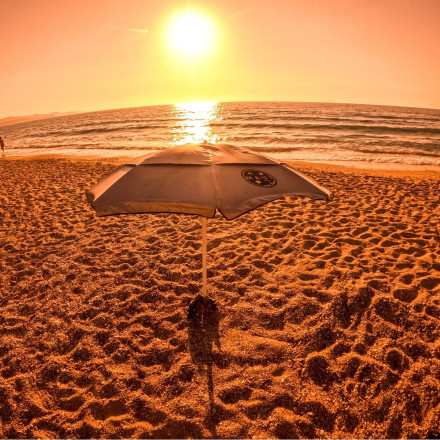 Καιρός: Συνεχίζεται το φαινόμενο «Hot-Dry-Windy» - Ακραίος κίνδυνος για φωτιά από τα μελτέμια