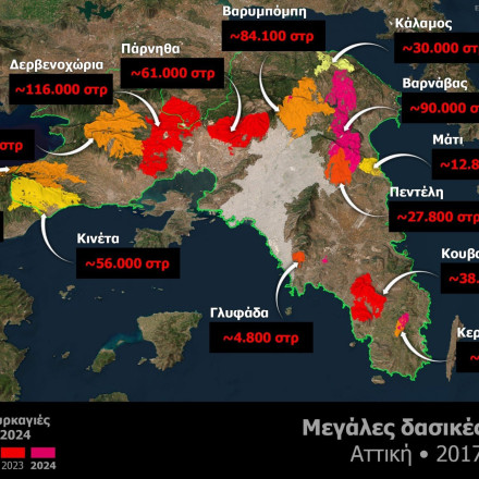 Το 37% των δασών της Αττικής κάηκε τα τελευταία 8 χρόνια: Σοκαριστικά στοιχεία από Αστεροσκοπείο