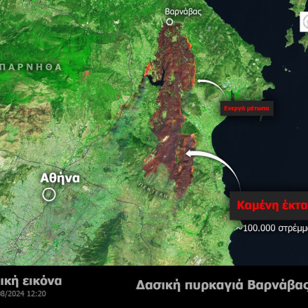 Αστεροσκοπείο: Πρώτη δραματική αποτίμηση της φωτιάς  - «Στάχτη» 100.000 στρέμματα