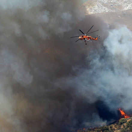 Φωτιά τώρα στην Αλεξανδρούπολη - Επί τόπου η Πυροσβεστική και με εναέρια μέσα