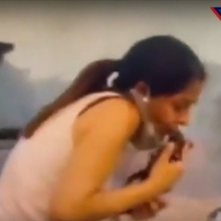 Φωτιά στην Αττική: Εθελόντρια έκανε ΚΑΡΠΑ σε πυρόπληκτο γατάκι και το έσωσε - Συγκλονιστικό βίντεο