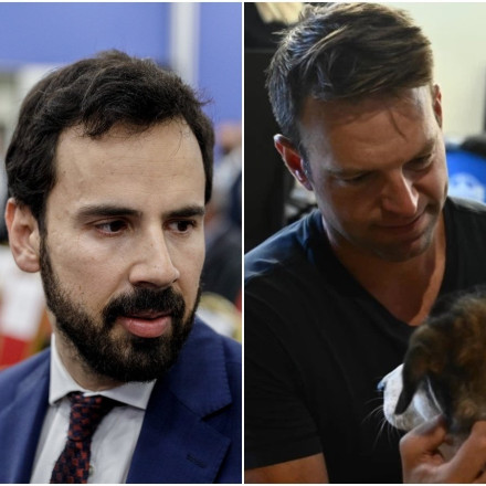 «Πυρά» Ρωμανού σε Κασσελάκη: Fake υιοθεσία πυρόπληκτου σκύλου για τα likes