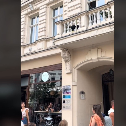 Ο σκύλος που πετάει από το μπαλκόνι μπάλες στους περαστικούς και γίνεται το αστέρι της πόλης