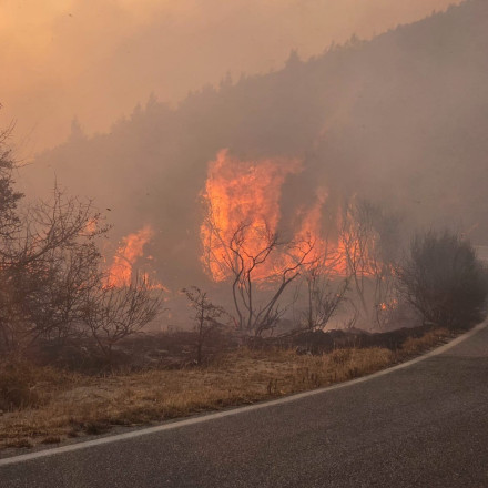 Φωτιά τώρα στην Αχαΐα - Επιχειρούν εναέρια μέσα