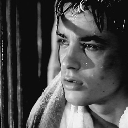 Αλέν Ντελόν: Το φλερτ και η φιλία με διάσημες Ελληνίδες, αλλά και η γυναίκα για χάρη της οποίας έγινε ηθοποιός