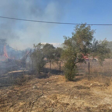 Φωτιά στην Αμαλιάδα: Επιχειρούν τρία αεροπλάνα