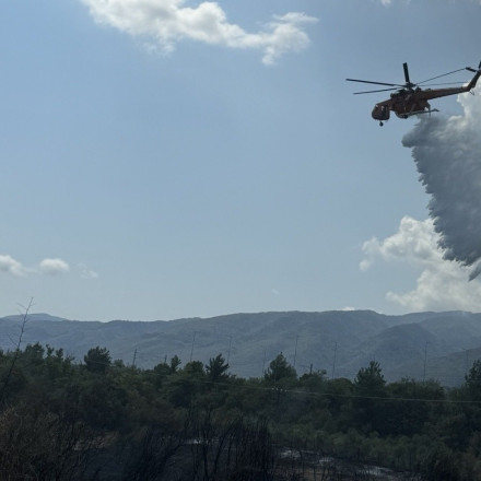 Οριοθετήθηκε η φωτιά τώρα στην Παιανία Αττικής - Σηκώθηκαν εναέρια μέσα Οριοθετήθηκε η φωτιά τώρα στην Παιανία Αττικής - Σηκώθηκαν εναέρια μέσα