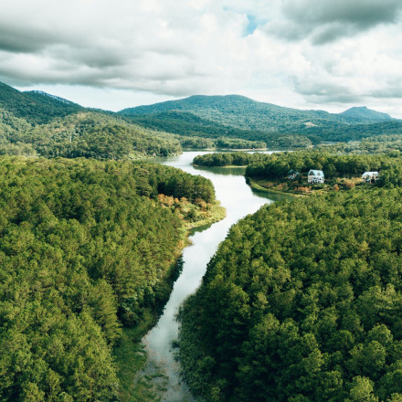 Βιετνάμ: 6χρονο αγόρι επέζησε 5 ημέρες σε δάσος - Έπινε νερό από ρυάκι και έτρωγε άγριους καρπούς