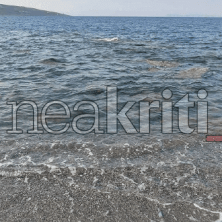 Νεκρά ψάρια τώρα και στην Κρήτη - Εντοπίστηκαν σε παραλία της Σητείας