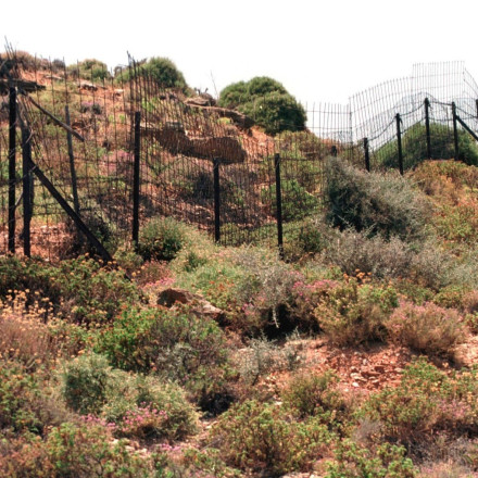 «Ενεργή Μάχη»: Αλλαγές στον καθαρισμό οικοπέδων - Χρονοδιάγραμμα, έλεγχοι και ποινές