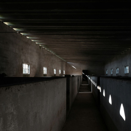 Νότια Αφρική: Τρεις άνδρες κατηγορούνται ότι σκότωσαν και «πέταξαν στα γουρούνια» δύο γυναίκες