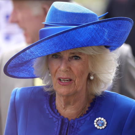 Σάλος με την τελευταία εμφάνιση της Καμίλα - Αντιδράσεις στο Twitter