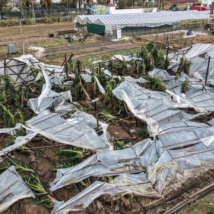 ΕΛΓΑ: Ξεκίνησε η καταγραφή ζημιών από το πρόσφατο χαλάζι