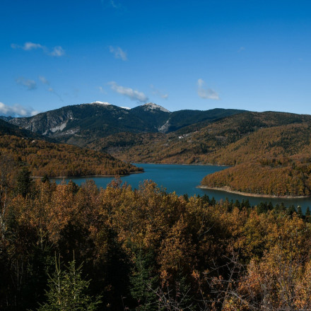 Τα δάση της Ελλάδας φόρεσαν από το καλοκαίρι τα φθινοπωρινά τους - Πού οφείλεται η εικόνα φθινοπώρου