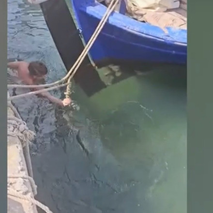 Ανάβυσσος: «Με δάγκωσε στον γλουτό», λέει ο πρωταγωνιστής της ταινίας πορνό για τη χελώνα