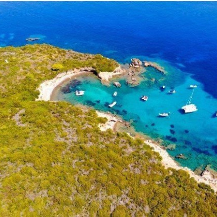 Φορμίκουλα, το άγνωστο νησί που φιλοξενεί τον πυκνότερο πληθυσμό φώκιας στην Ελλάδα