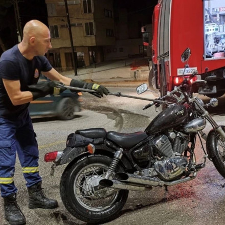 Σοκ για οδηγό στην Ηγουμενίτσα: Είδε ξαφνικά στο τιμόνι του ένα... φίδι